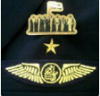 الصورة الرمزية UAE National Pilot